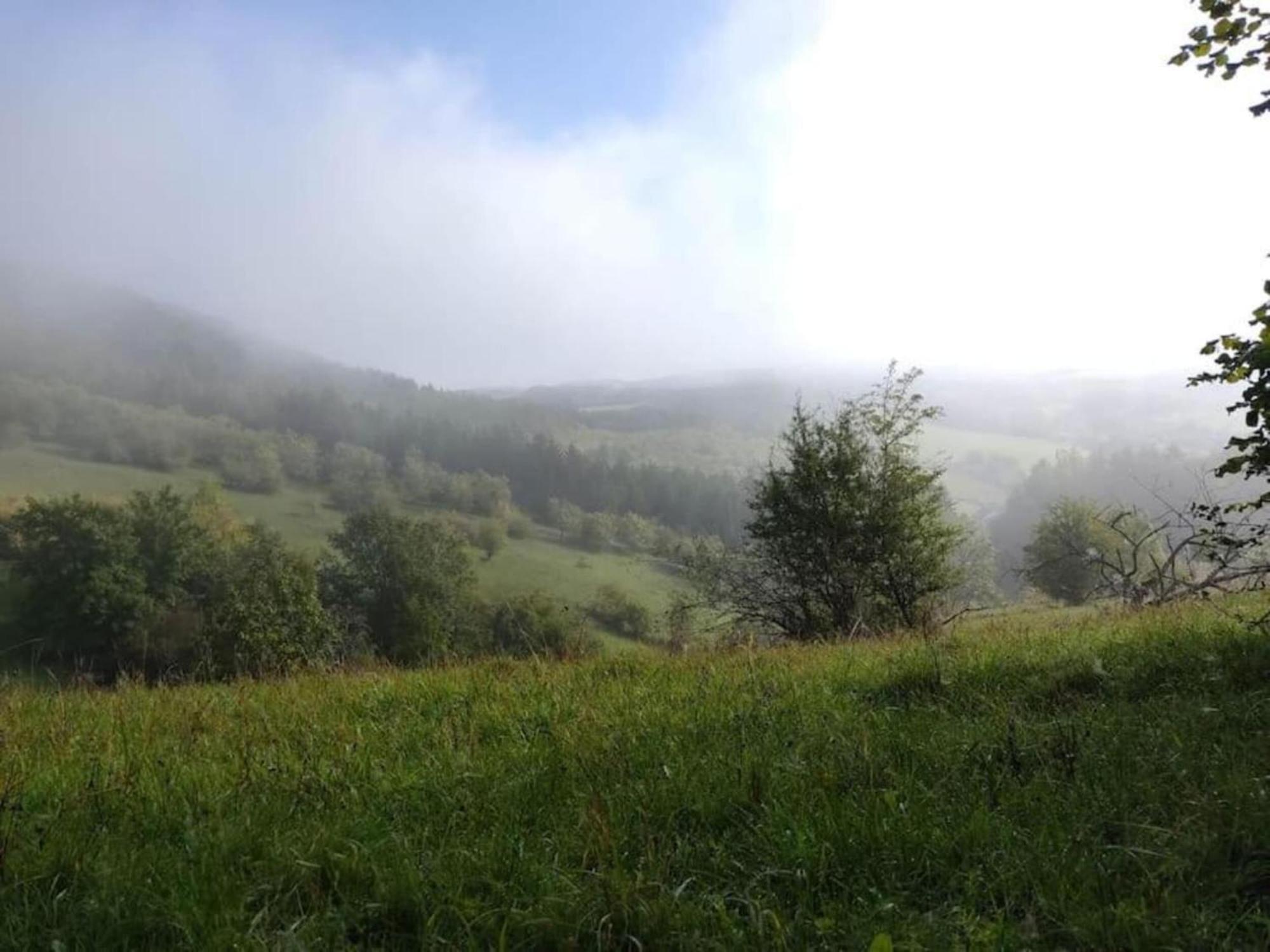 Apartment In Bollendorf With Forest View ภายนอก รูปภาพ